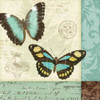 Butterfly Patchwork II Poster Print by  Pela Studio - Item # VARPDX6873