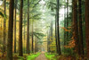 Divide Poster Print by Lars Van de Goor - Item # VARPDXV563D