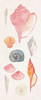 Sea Gems I Poster Print by Wild Apple Portfolio - Item # VARPDX25406