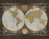 World Map Poster Print by Elizabeth Medley - Item # VARPDX8563X