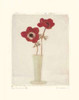 Red Anemones II Poster Print by Amy Melious - Item # VARPDXMEL197