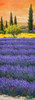 Pomeriggio tra la lavanda Poster Print by Tebo Marzari - Item # VARPDX4TM1825