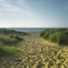 Beach huts in a row Poster Print by  Assaf Frank - Item # VARPDXAF20090617308