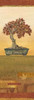 Bonsai IV Poster Print by Charlene Audrey - Item # VARPDXAUD121