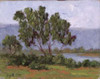 Rivages Series I Poster Print by Brigitte Curt - Item # VARPDXCBP210B