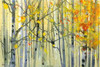 Autumn Birches Poster Print by  Paul Bailey - Item # VARPDXB3305D