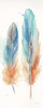 Watercolor Feathers Panel I Poster Print by  Cynthia Coulter - Item # VARPDXRB10785CC