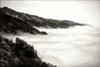 Pacific Fog I Poster Print by Alan Hausenflock - Item # VARPDXPSHSF846
