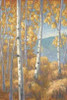 Aspen Forest I Poster Print by John Macnab - Item # VARPDXMNB016