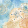 Watercolor Shells III Poster Print by Cynthia Coulter - Item # VARPDXRB7430CC
