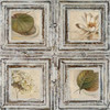 Flowers and Leaves II Poster Print by Patricia Pinto - Item # VARPDX6469