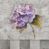 Hydrangeas and Stripes II Poster Print by Patricia Pinto - Item # VARPDX8601