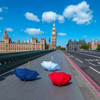 Colourful umbrellas on Westminster Bridge , London, UK Poster Print by  Assaf Frank - Item # VARPDXAF20150607133C01