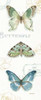 My Greenhouse Butterflies VI Poster Print by Audit Lisa - Item # VARPDX22213
