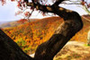 Wildcat Ridge I Poster Print by Alan Hausenflock - Item # VARPDXPSHSF923