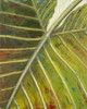 Green Zoom I Poster Print by Patricia Pinto - Item # VARPDX8460
