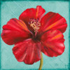 Joyful Hibiscus Poster Print by Patricia Pinto - Item # VARPDX8779A