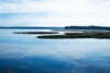 Still Water I Poster Print by Alan Hausenflock - Item # VARPDXPSHSF360