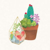 Succulent Garden I Poster Print by  Wild Apple Portfolio - Item # VARPDX21555