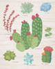 Succulent Chart IV on Wood Poster Print by  Wild Apple Portfolio - Item # VARPDX21194