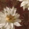 Royal Clematis I Poster Print by Janel Pahl