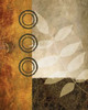 November Textures II Poster Print by Michael Marcon - Item # VARPDX7764