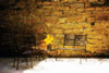 Peaceful Patio I Poster Print by Alan Hausenflock - Item # VARPDXPSHSF120