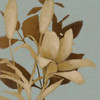Foliage on Teal I Poster Print by Lanie Loreth - Item # VARPDX7593