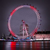 London Eye at night Poster Print by  Assaf Frank - Item # VARPDXAF20110428022C08