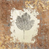 Gilded Leaf V Poster Print by Avery Tillmon - Item # VARPDX17832