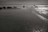 Seashore Serenity III BW Poster Print by Vitaly Geyman - Item # VARPDXPSVIT507
