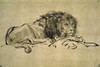 Lion Poster Print by  Rembrandt Van Rijn - Item # VARPDX283131