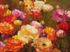 Ranunculus Garden Poster Print by Emma Styles - Item # VARPDXS1314D