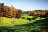 Virginia Hills I Poster Print by Alan Hausenflock - Item # VARPDXPSHSF1252