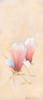 Pink magnolia 3-3 Poster Print by  Nathalie Boucher - Item # VARPDXMLV020