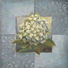 Hydrangeas on Blue I Poster Print by Patricia Pinto - Item # VARPDX7283