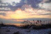 Masonboro Inlet I Poster Print by Alan Hausenflock - Item # VARPDXPSHSF1218