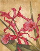 Hawaiian Tropics I Poster Print by Liz Jardine - Item # VARPDXJLP509