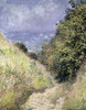 Chemin de la Cavee Pourville Poster Print by  Claude Monet - Item # VARPDX278651