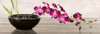 Orchid Arrangement Poster Print by Shin Mills - Item # VARPDX4MI1347