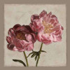 Botanical Peony Poster Print by Janel Pahl - Item # VARPDXPLP143