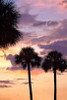 http://c328301.r1.cf1.rackcdn.com/PDXPSHSF423LARGE.jpg