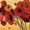 Poppies WIldly I Poster Print by Shirley Novak - Item # VARPDX4743