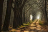 Paths Poster Print by  Lars Van de Goor - Item # VARPDXV608D