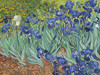 Irises 1889 Poster Print by Vincent Van Gogh - Item # VARPDXV550D