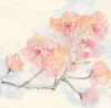 Pink Blossoms III Poster Print by Chris Paschke - Item # VARPDX21594