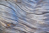 Weathered Wood III Poster Print by Kathy Mahan - Item # VARPDXPSMHN492