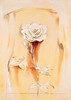 Rose Poster Print by Renee - Item # VARPDXMLV024