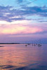St. Augustine Harbor Sunset III Poster Print by Alan Hausenflock - Item # VARPDXPSHSF425