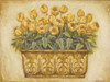 Yellow Tulips Poster Print by Eva Misa - Item # VARPDXMSA015